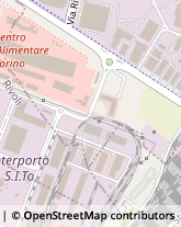 Trasporti Celeri,10095Torino