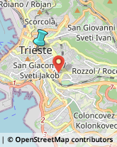 Trasporto Pubblico,34122Trieste