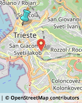 Trasporto Pubblico,34133Trieste