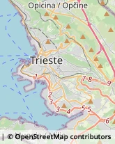 Autotrasporti,34136Trieste