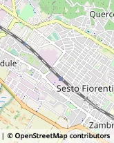 Via Santa Caterina, 7,50019Sesto Fiorentino