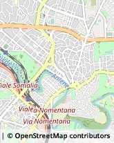 Via Valle Vermiglio, 11,00141Roma