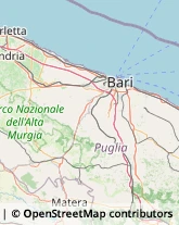 Articoli per Ortopedia,70010Bari