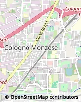 Via per Vimodrone, 5,20093Cologno Monzese