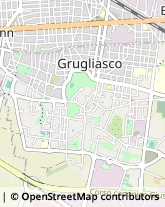 Viale Antonio Gramsci, 170,10095Grugliasco