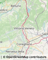 Via Giuseppe Verdi, 19,31015Conegliano