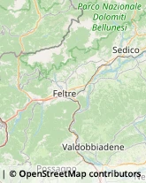 Biciclette - Dettaglio e Riparazione,32035Belluno