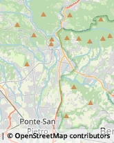 Feste - Organizzazione e Servizi,24031Bergamo