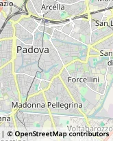 Via Tre Garofani, 57,35124Padova