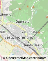 Viale Giuseppe Di Vittorio, 35,50019Sesto Fiorentino