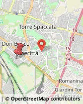 Via Caio Canuleio, 103,00174Roma