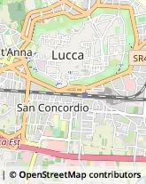 Vendite per Corrispondenza,55100Lucca