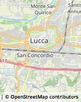 Vendite per Corrispondenza,55100Lucca