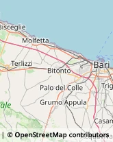 Maglieria - Produzione,70056Bari