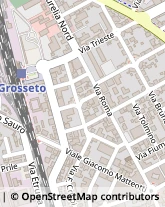 Via Goffredo Mameli, 16/18,58100Grosseto