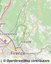 Aziende Agricole,50014Firenze