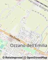 Via Fosse Ardeatine, 8,40064Ozzano dell'Emilia