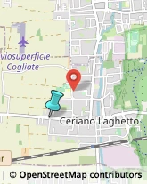 Alimentari,20816Monza e Brianza