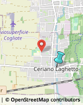 Gelaterie,20816Monza e Brianza