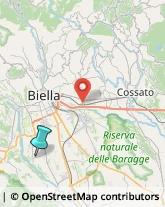 Cereali e Granaglie,13872Biella