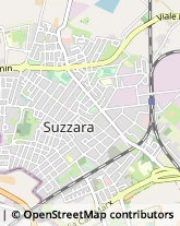 Viale Stelvio Zonta, 3/C,46029Suzzara