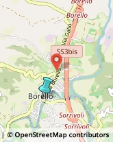 Bulbi e Sementi,47522Forlì-Cesena