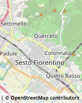 Via Fonte Mezzina, 34,50019Sesto Fiorentino