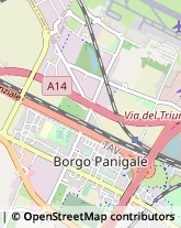 Spedizionieri Doganali,40132Bologna