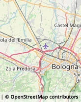 Spedizionieri Doganali,40012Bologna