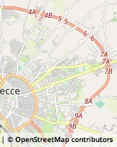 Associazioni e Federazioni Sportive,73100Lecce