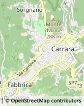 Imprese di Pulizia,54033Massa-Carrara