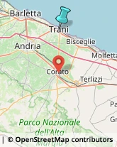 Agenzie di Animazione e Spettacolo,70059Barletta-Andria-Trani