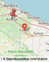 Via Genova, 23,76123Andria