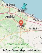 Agenzie di Animazione e Spettacolo,76125Barletta-Andria-Trani