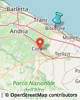 Agenzie di Animazione e Spettacolo,76011Barletta-Andria-Trani