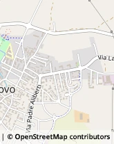 Via Altina, 16,10048Vinovo