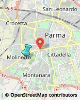 Palestre e Centri Fitness,43100Parma