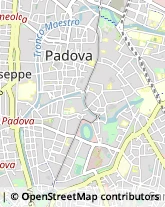 Via Umberto I, 24,35100Padova