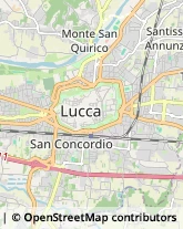 Pubblicità Diretta,55100Lucca