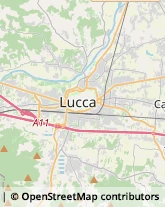 Via Pesciatina, 137,55012Lucca