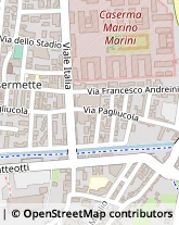 Via di Brana, 125,51030Pistoia