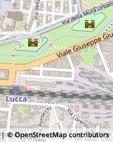 Viale Giuseppe Giusti, 451,55100Lucca