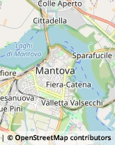 Agenzie di Stampa,46100Mantova