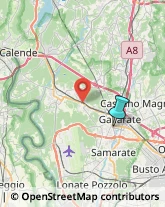 Articoli da Regalo - Dettaglio,21013Varese