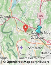 Palestre e Centri Fitness,21013Varese