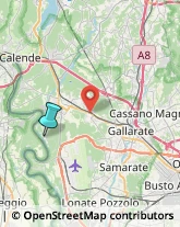 Agenzie di Animazione e Spettacolo,21019Varese