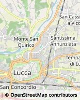 Via Vecchia Pesciatina, 1088,55100Lucca