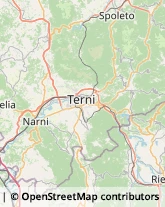 Scuole e Corsi di Lingua,05035Terni