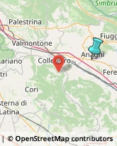 Enoteche,03012Frosinone