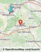 Feste - Organizzazione e Servizi,55011Lucca